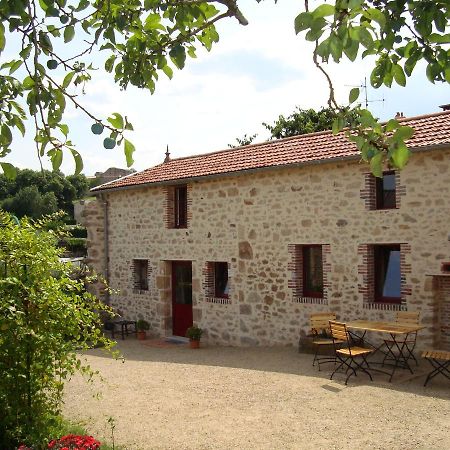 Bed and Breakfast Demeure Du Castel Les Chatelliers-Chateaumur Экстерьер фото