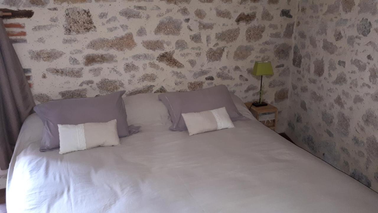 Bed and Breakfast Demeure Du Castel Les Chatelliers-Chateaumur Экстерьер фото